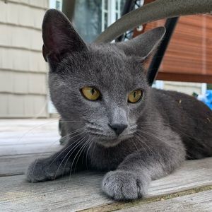 Meet your Posher, Taeylor